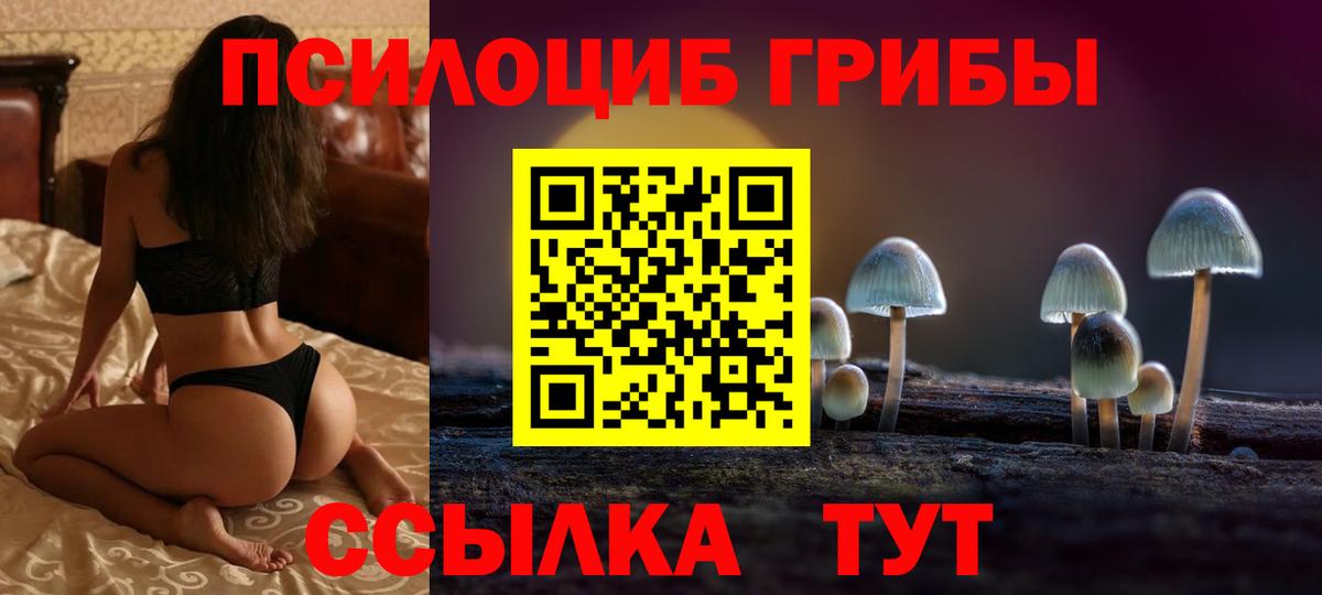 Псилоцибиновые грибы GOLDEN TEACHER Шахты